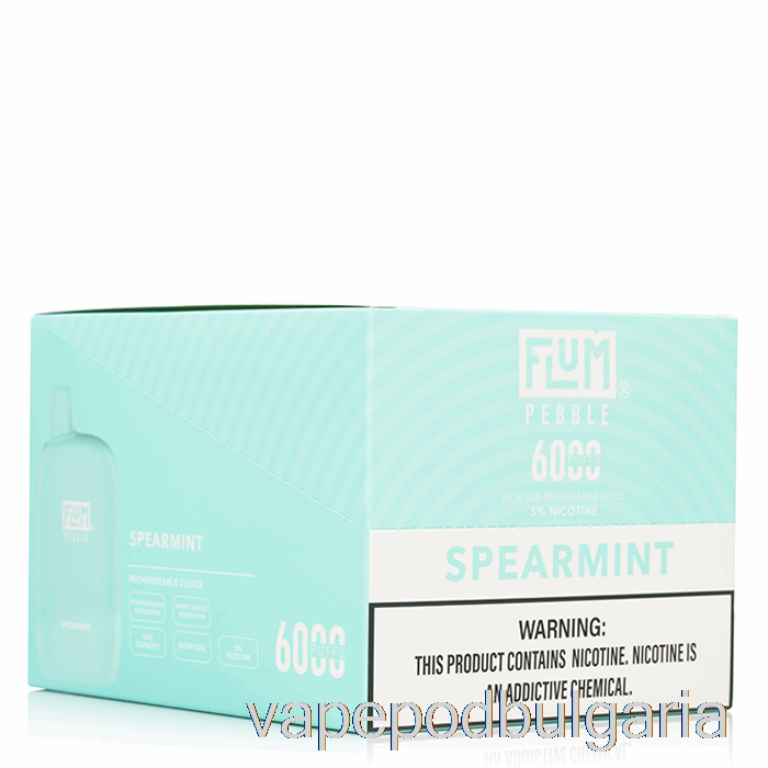 Vape Bulgaria [10-pack] Flum Pebble 6000 за еднократна употреба